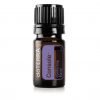 doTERRA Console essential oil blend 5mL (Comforting Blend) AU/NZ