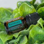 Cinnamomum camphora doTERRA AU/NZ Ravintsara (Cinnamomum camphora) essential oil 5mL