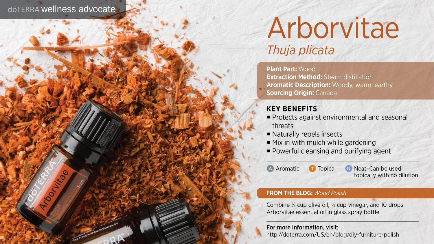 doTERRA Arborvitae essential oil Presentation